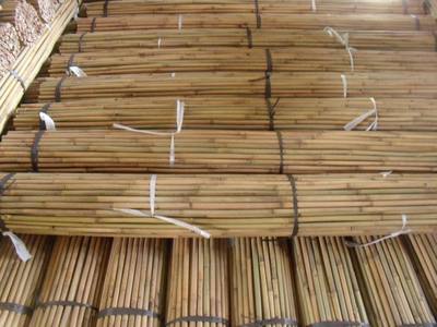 懷集茶竹 竹木制品的卓越之選